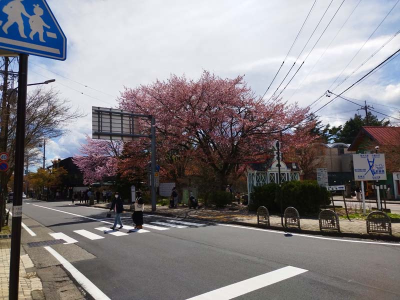 石臼挽き蕎麦 東間