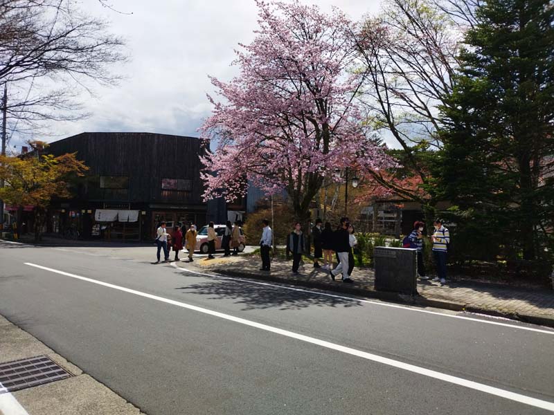 石臼挽き蕎麦 東間