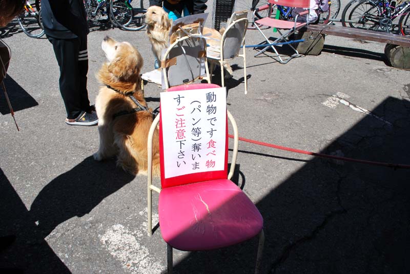 渋峠ホテル