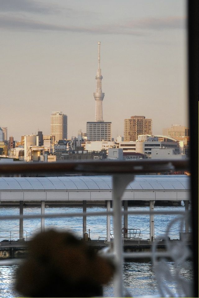 シンフォニー東京湾クルーズ 