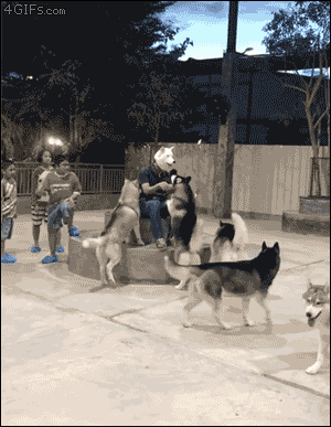画像 子供が子犬にレイプされる えっちぃ速報