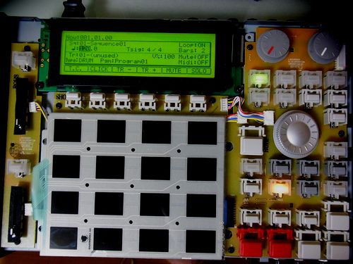 RIMG0725