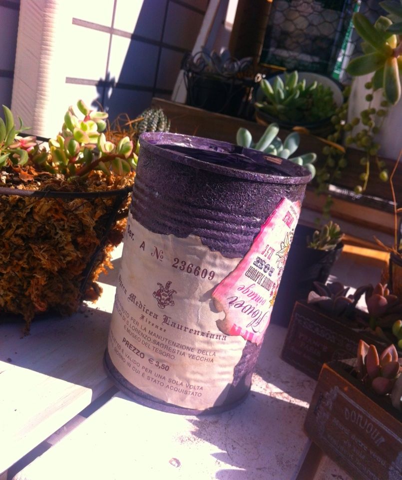 はじめてのリメイク缶 A Tiny Little Veranda Garden ゚ ベランダガーデニングの始め方 はじめてのリメイク缶 A Tiny Little Veranda Garden ゚ ベランダガーデニングの始め方