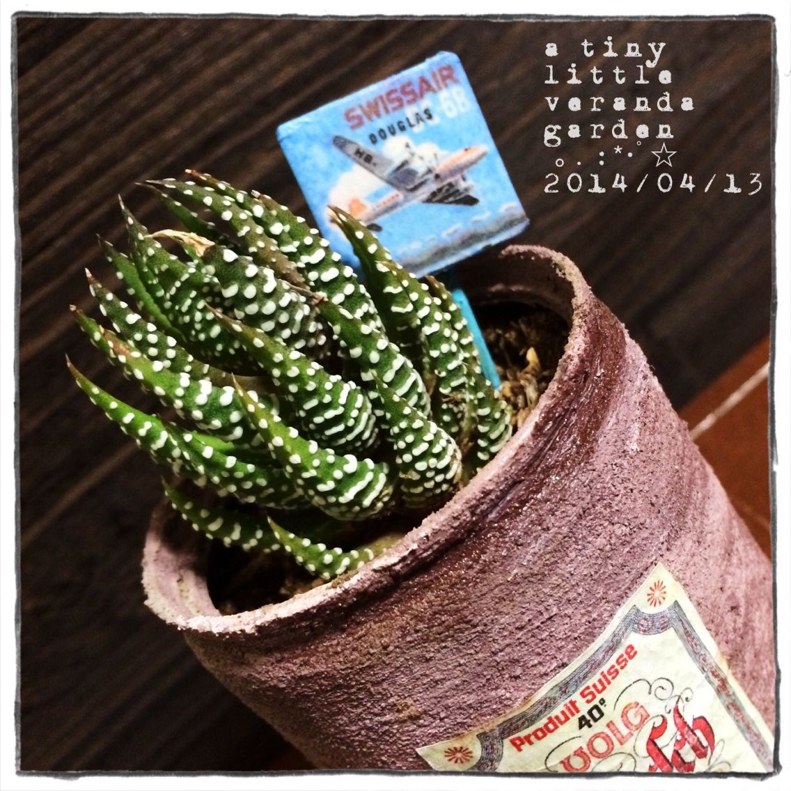 ガーデン タイルピックの作り方 A Tiny Little Veranda Garden ﾟ ベランダガーデニングの始め方