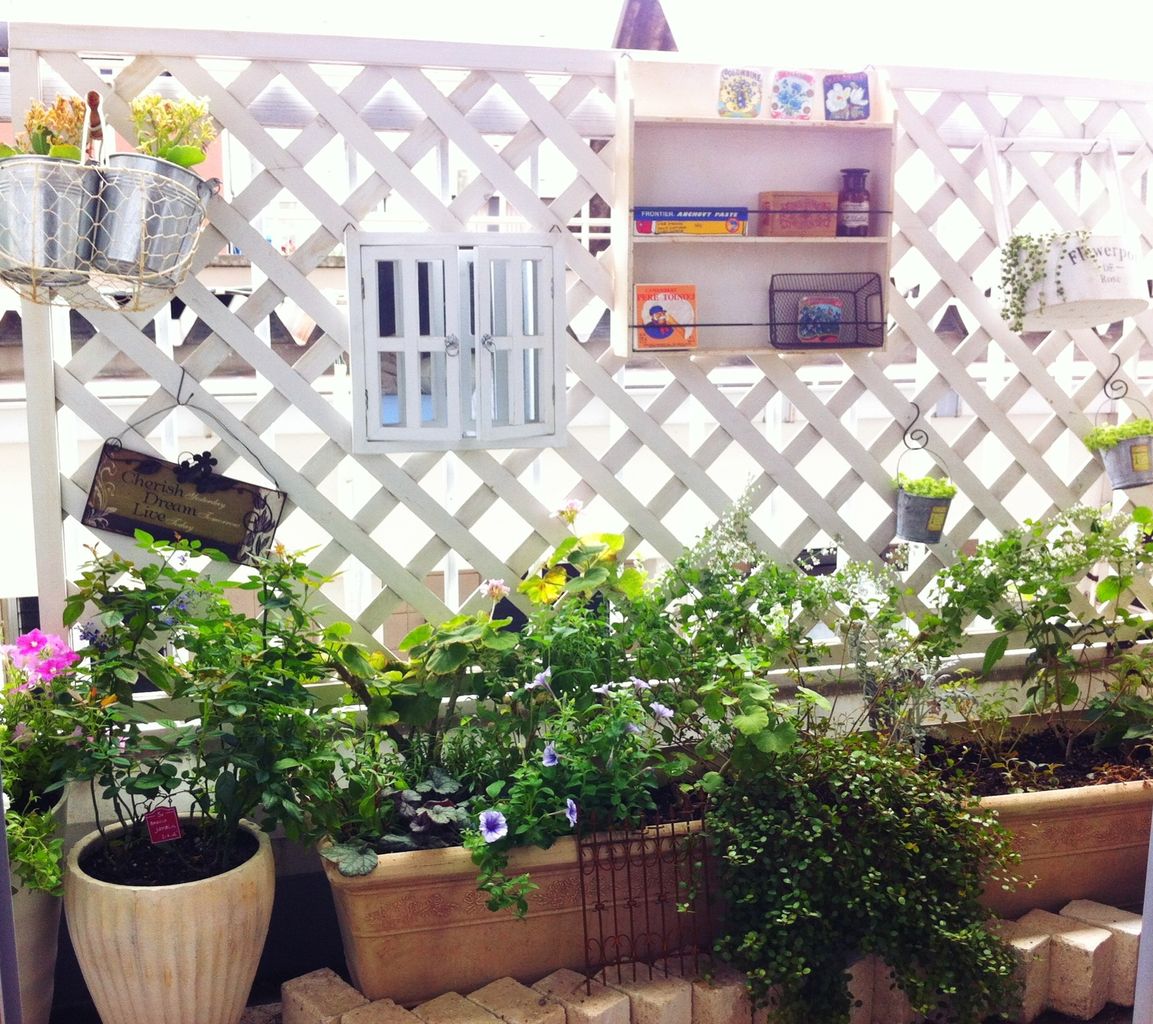 ベランダガーデンのデコレーション A Tiny Little Veranda Garden ﾟ ベランダガーデニングの始め方