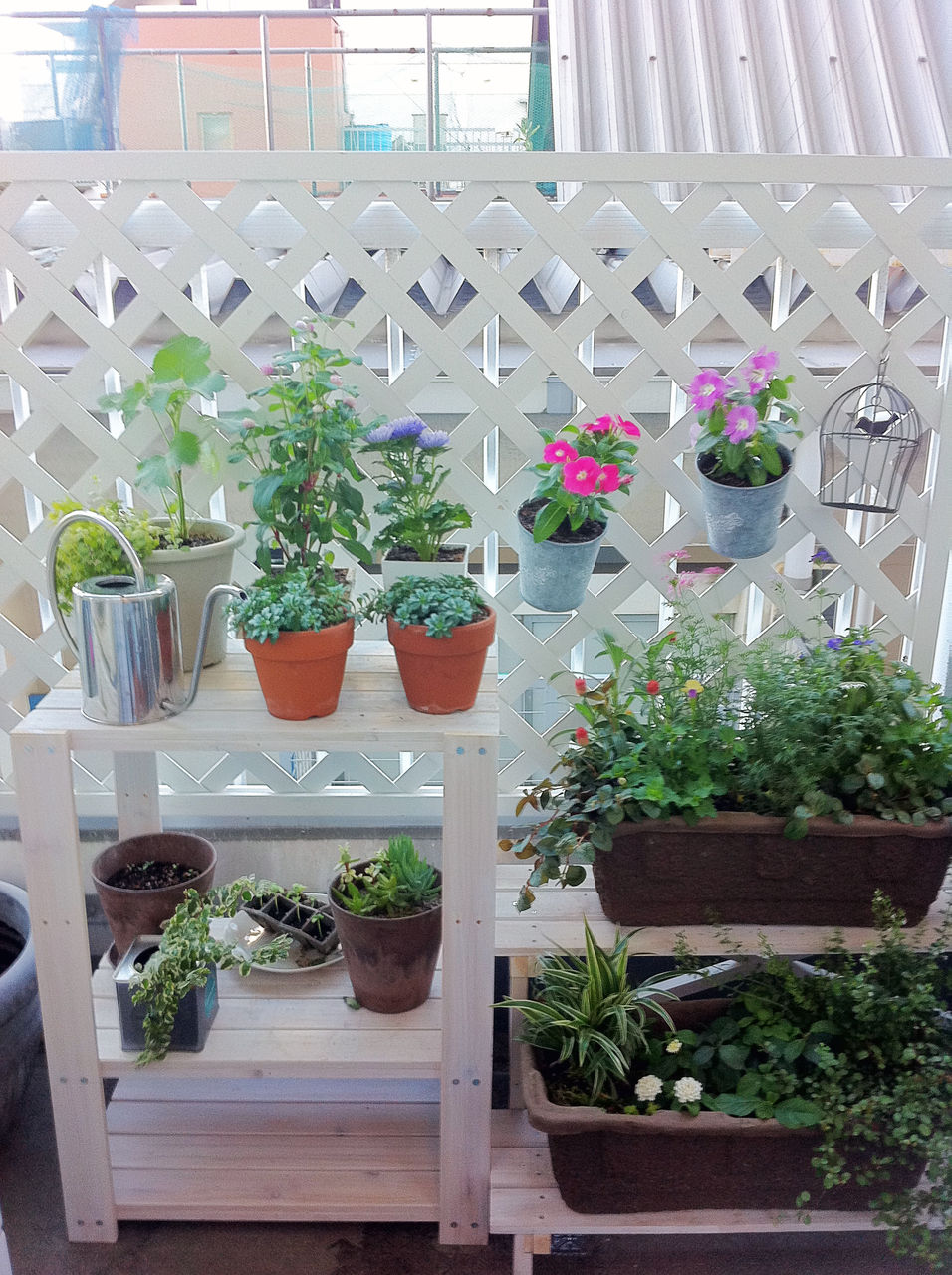 13 08 24 A Tiny Little Veranda Garden ゚ ベランダガーデニングの始め方 13 08 24 A Tiny Little Veranda Garden ゚ ベランダガーデニングの始め方
