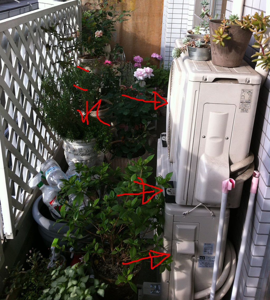 エアコン室外機を隠す １ すのこ室外機カバーの作り方 A Tiny Little Veranda Garden ﾟ ベランダ ガーデニングの始め方