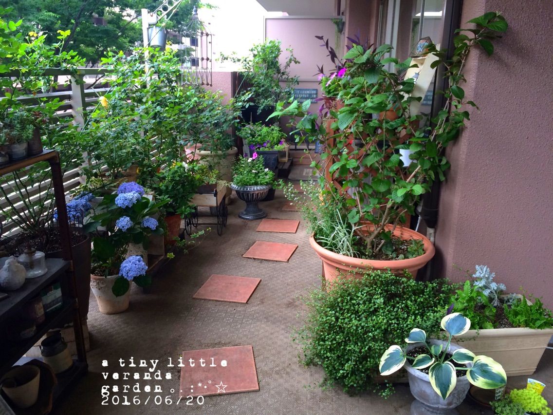手作り♪DIY : a tiny little veranda garden ｡.:*･ﾟ☆ ベランダガーデニングの始め方