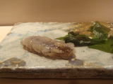 蝦蛄しおから