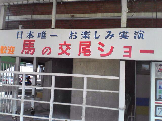 馬の交尾ショー 笑った画像置き場 馬の交尾ショー 笑った画像置き場