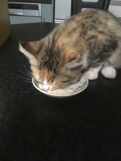 8.07なぎ(食事)