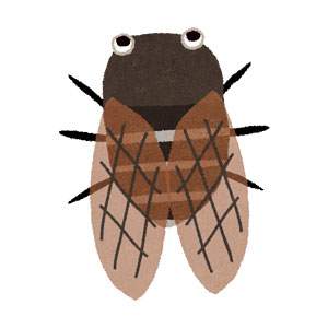 free-illustration-insect-collecting-14
