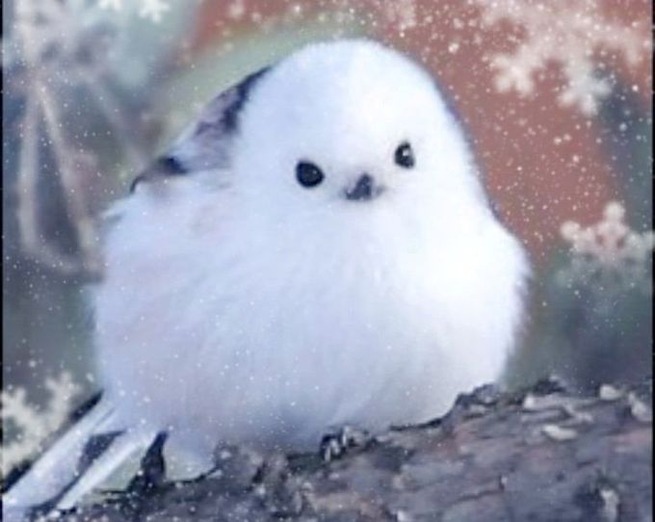 17641311d8eeb-5ff1-4dd5-9648-cd745a17a920_m