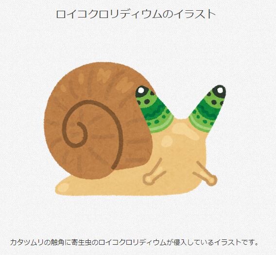 キャプチャ