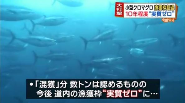 キャプチャ
