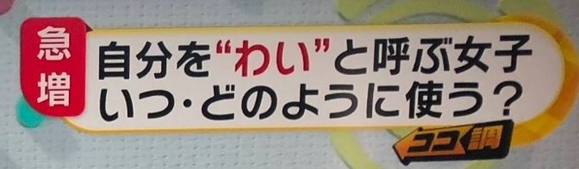 ����ץ���