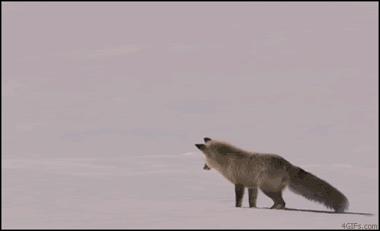 90_1