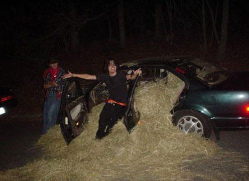 funny-wtf-car-hay-1