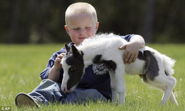 article-1268831-094D22E5000005DC-340_634x381