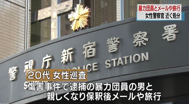 ����ץ���