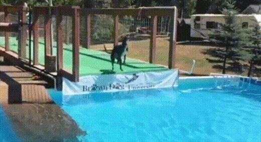 キャプチャ