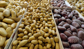 img_f86ffeda83119f477d2efb3ab809bf1b266797