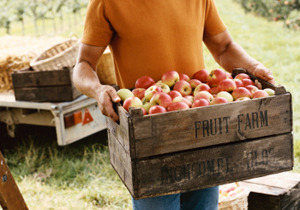 20140910-00010003-bjournal-000-1-view (1)