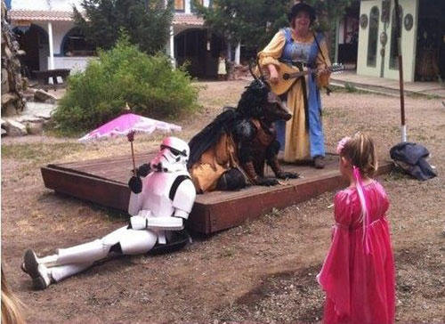 funny-wtf-stormtrooper-donkey