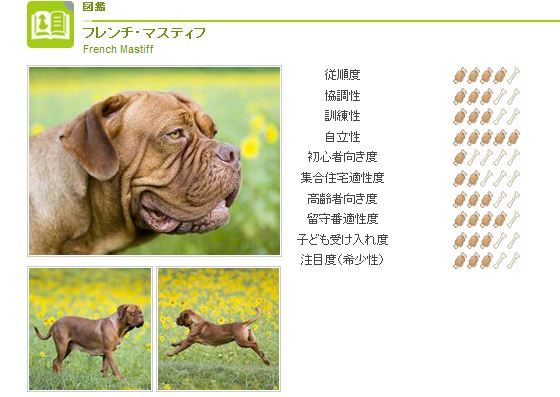 キャプチャ