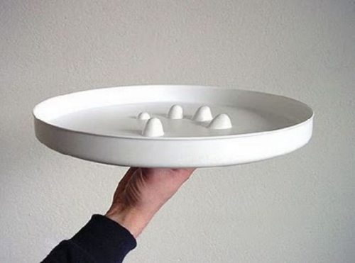 genius-or-stupid-36
