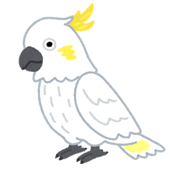 bird_kobatan
