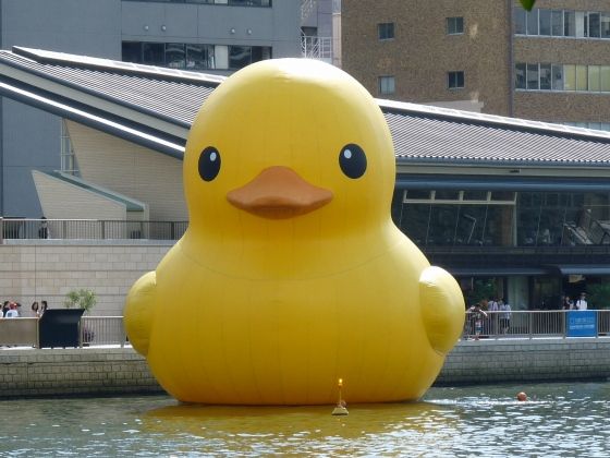 img_1193124_29677478_0