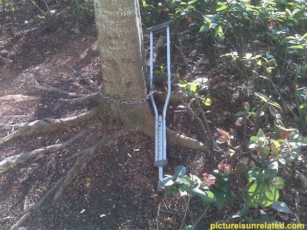 wtf_pictures_57