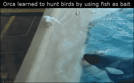 107_1