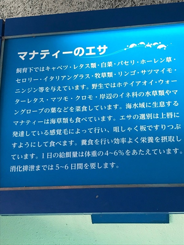 o1080144014926417043