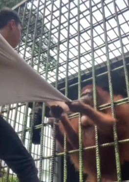 SnapCrab_NoName_2022-6-8_0-33-38_No-00