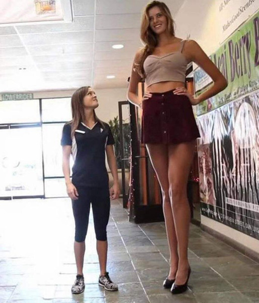 1_2