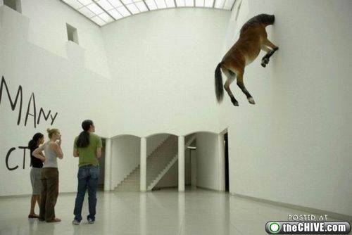 wtf-fail-stupid-1