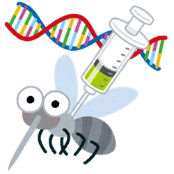 bug_ka_dna