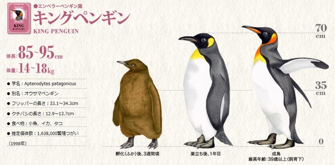 キャプチャ
