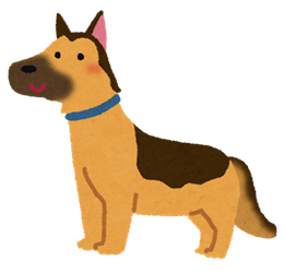 dog_german_shepherd_R