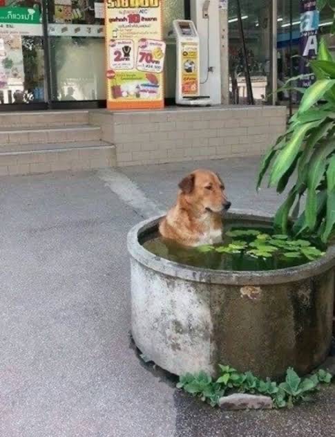 no title