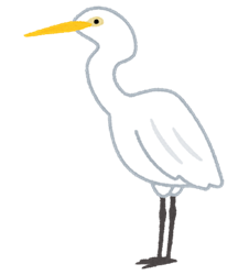 bird_shiro_sagi