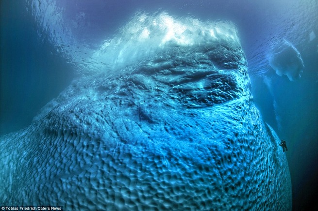 32EC272000000578-0-image-a-49_1460023952197
