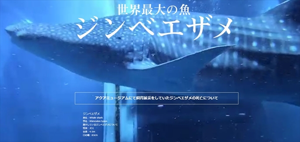 キャプチャ
