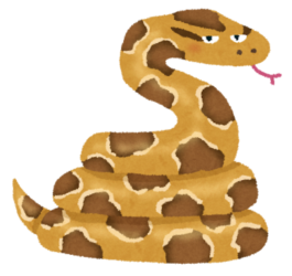 体長3 5mのニシキヘビが脱走中 横浜市戸塚区 ガハろぐnewsヽ W ｽﾞｺｰ