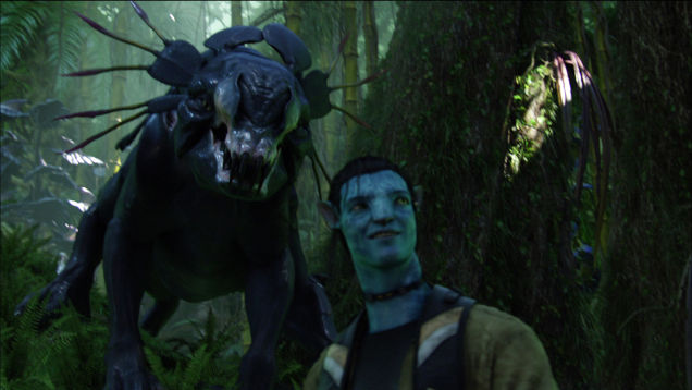 5fcef_448_f62979219ccafe091f744f0576862133