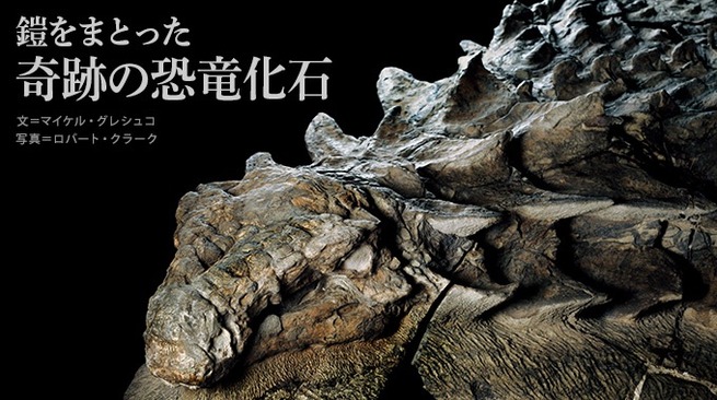 main_image