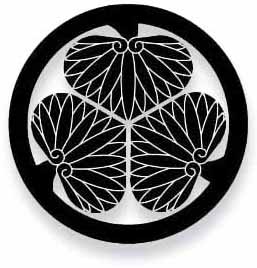 aoi_top