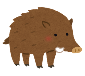 animal_inoshishi_R